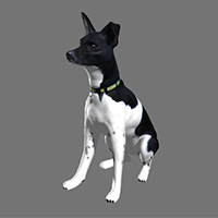 3Dデータの確認